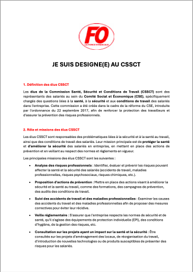 Désigné CSSCT